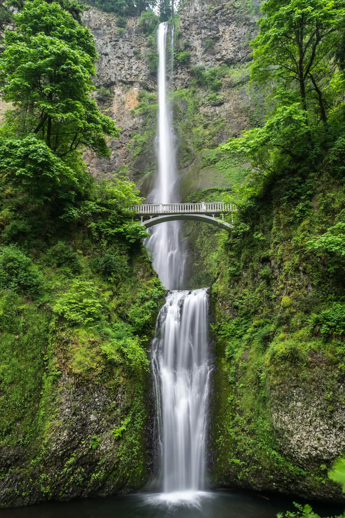 unsplash/blake-verdoorn